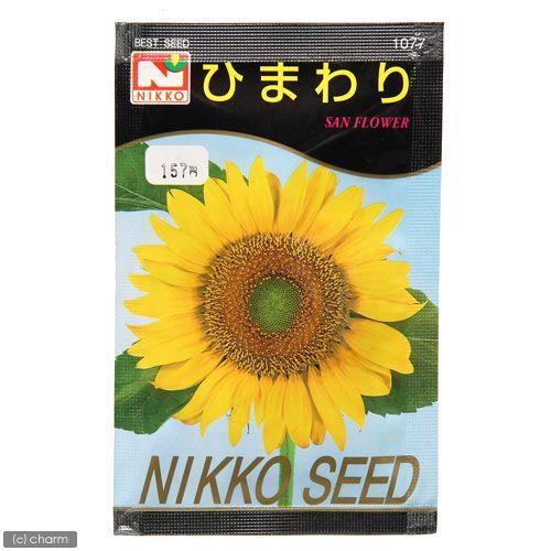 アウトレット品 ひまわりの種（SAN FLOWER） 品番：1077