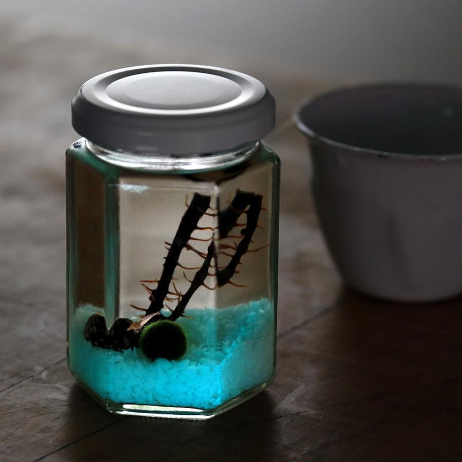 エビ）ホロホロ・ボトル ハニカム（六角・蓄光石ブルー） 本州四国限定