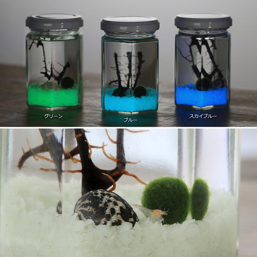 エビ）ホロホロ・ボトル ハニカム（六角・蓄光石ブルー） 本州四国限定