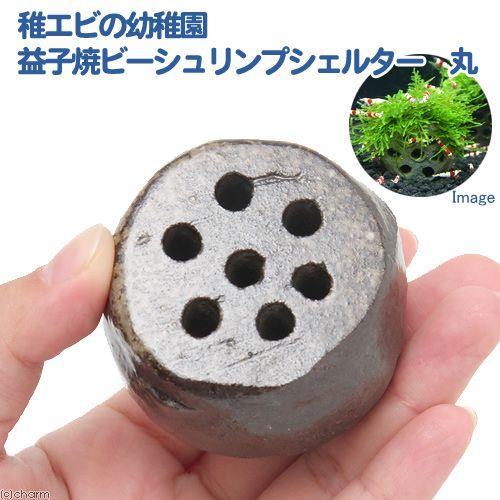 稚エビの幼稚園 益子焼ビーシュリンプシェルター 丸 チャーム Charm ヤフー店 通販 Yahoo ショッピング