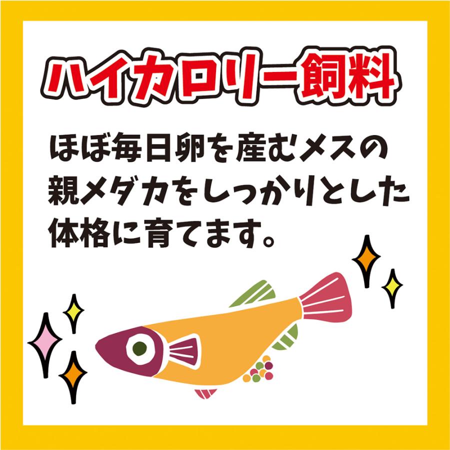 キョーリン　メダカのエサ　産卵・繁殖用　４０ｇ　メダカの餌　繁殖　お一人様５０点限り |  | 04