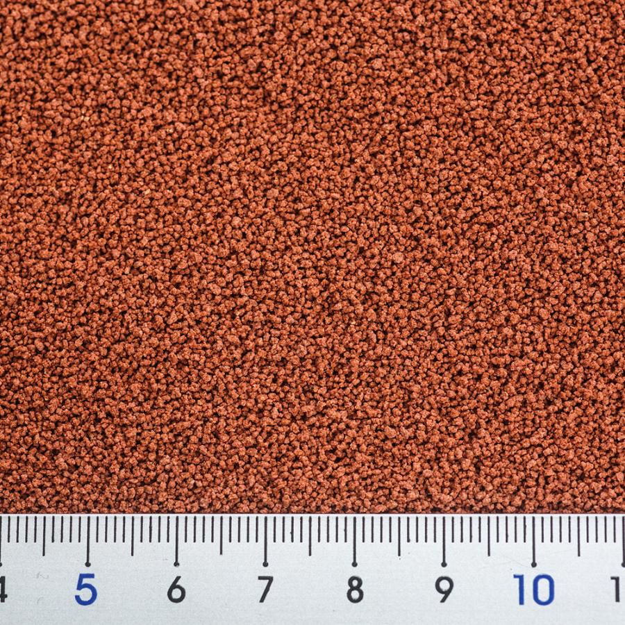 キョーリン　ひかりクレスト　カラシン　１２ｇ　お一人様５０点限り | Hikari（ペット用品） | 01