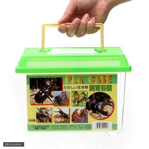 中古プラケース　昆虫　カブトムシ プラケース 飼育容器 小 緑（225×150×165mm） 虫かご