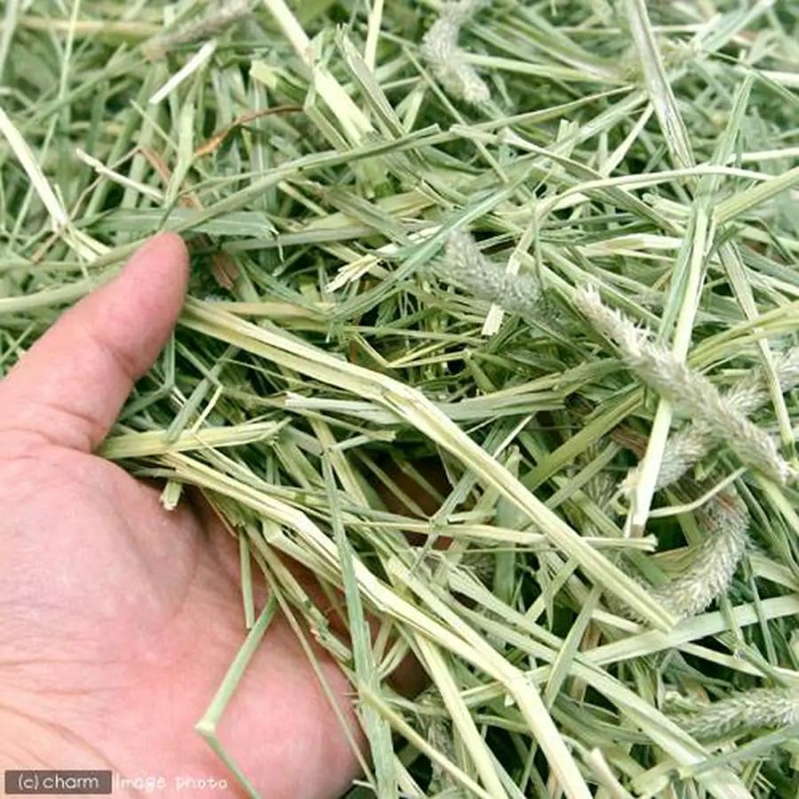 オリミツ　ロングマット　１ｋｇ　うさぎ　牧草　お一人様６点限り　チモシー　一番刈り | オリミツ | 01