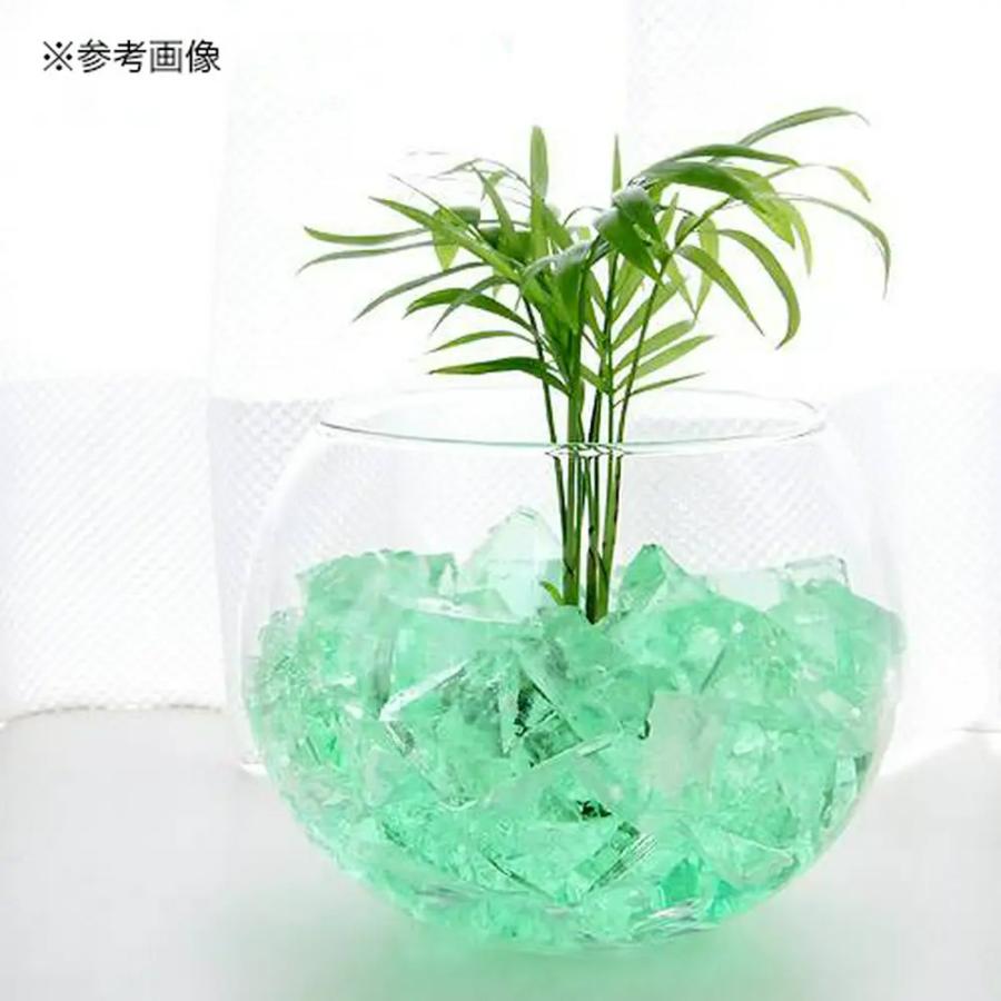 ガラスベース バブルボール S 12cm エアプランツ 多肉植物