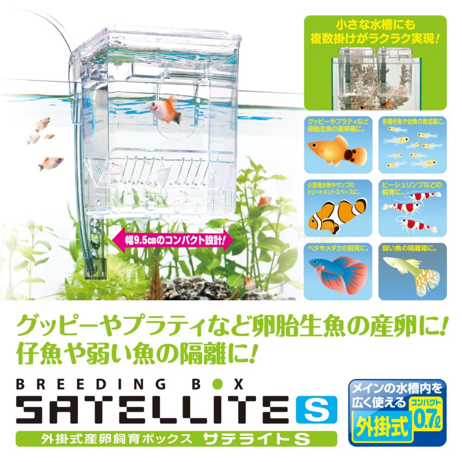 スドー 外掛式産卵飼育ボックス サテライトS : チャーム charm ヤフー