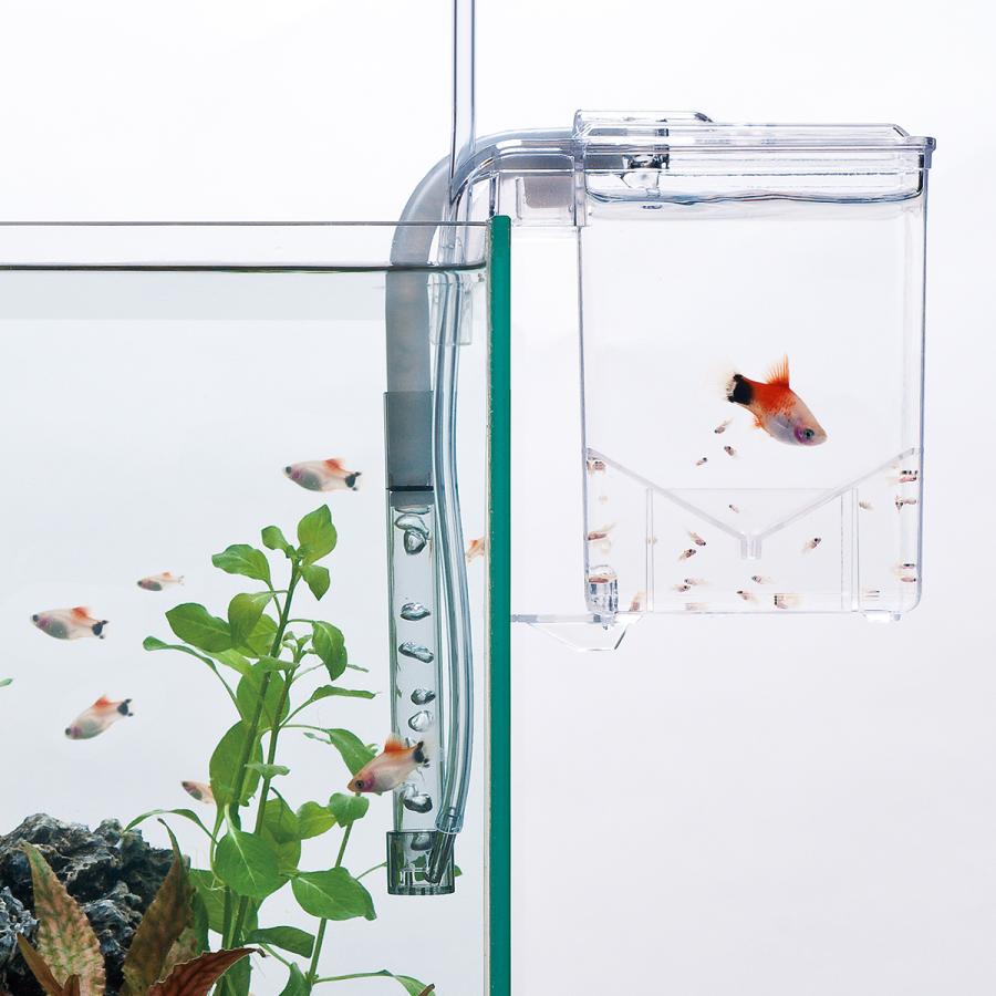 スドー 外掛式産卵飼育ボックス サテライトS : チャーム charm ヤフー