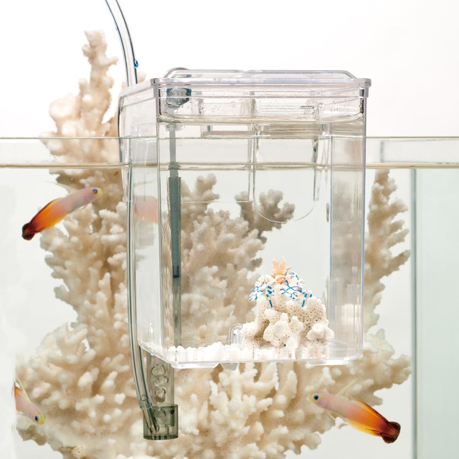 スドー 外掛式産卵飼育ボックス サテライトS : チャーム charm ヤフー