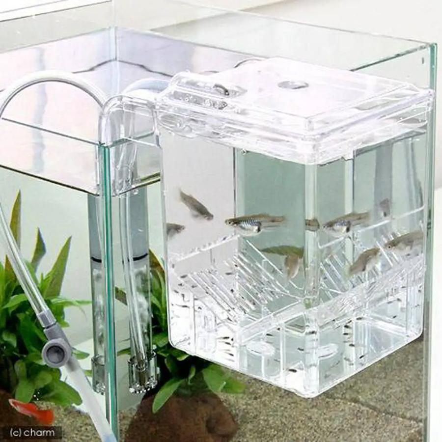 スドー 外掛式産卵飼育ボックス サテライトS : チャーム charm ヤフー