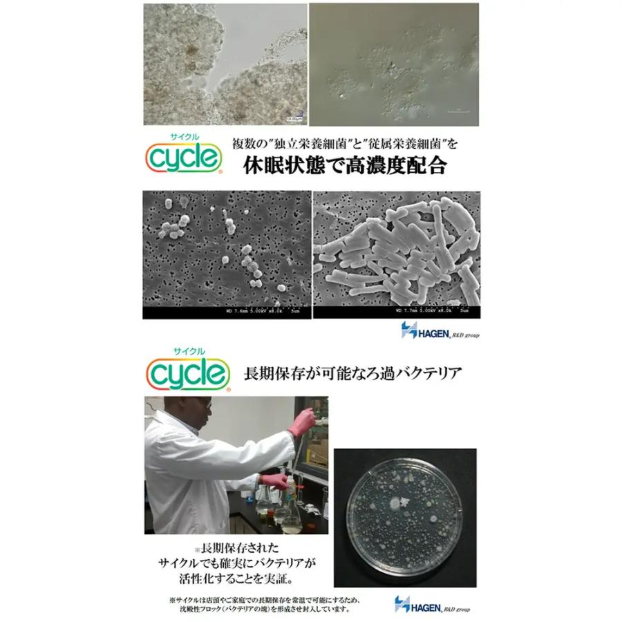 ＧＥＸ　サイクル　５００ｍＬ　淡水・海水両用　バクテリア　熱帯魚　観賞魚　ジェックス｜chanet｜04