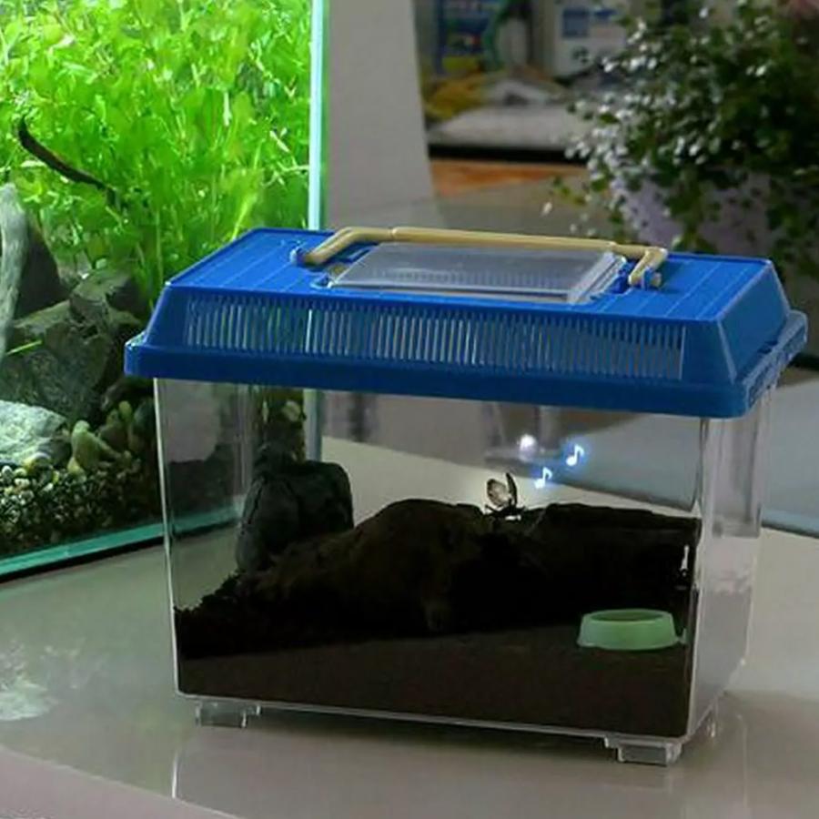 チャーム（charm） 用品のみ 鳴き虫簡単飼育セット 4点セット（プラ