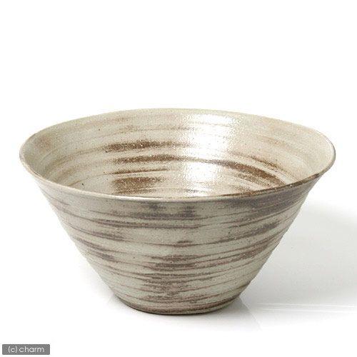 信楽焼　天水鉢　睡蓮鉢　メダカ鉢　　直径50㌢ 睡蓮鉢 直径約50cm 信楽焼 天水鉢 睡蓮鉢 メダカ鉢 直径50㌢ 信楽焼