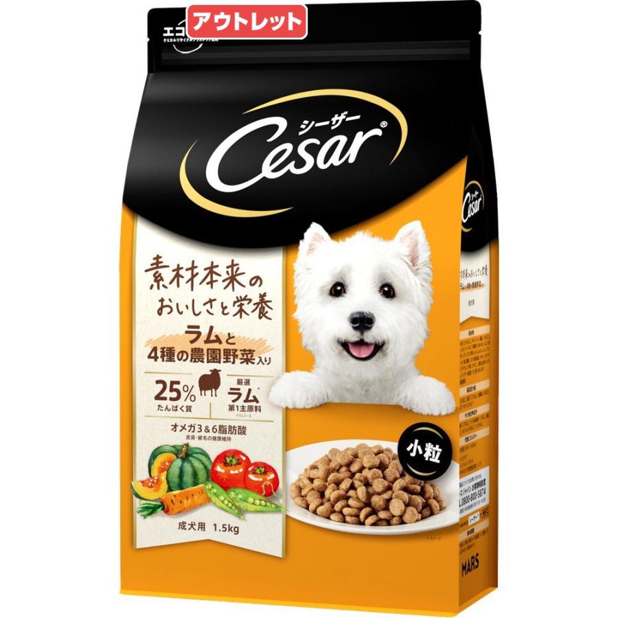 賞味期限：2026年03月03日 ドッグフード シーザー ドライ 成犬