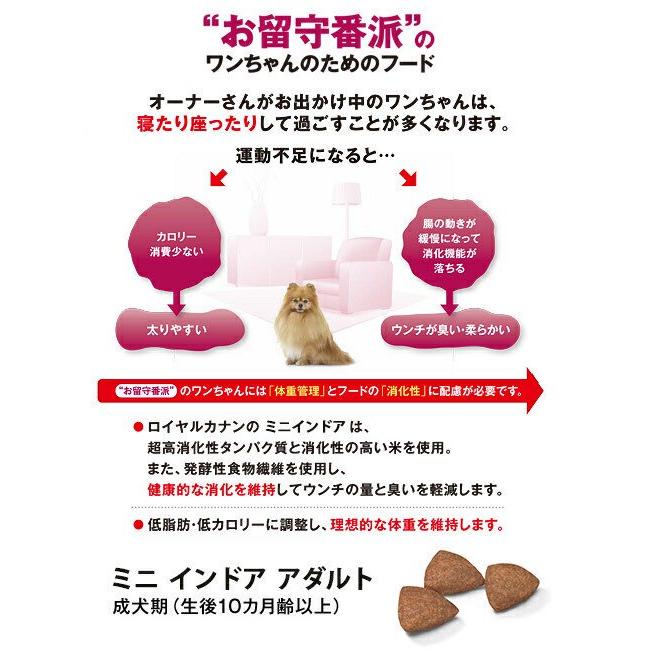 アウトレット品　ロイヤルカナン　ミニ　インドア　アダルト　成犬用　２ｋｇ　３１８２５５０８４９６３０　小型犬　ジップ付　お一人様５点限り　訳あり |  | 02