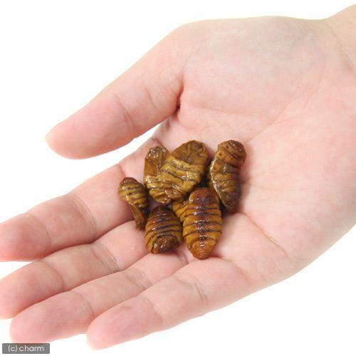 冷凍★冷凍かいこ　丸サナギ　沈下タイプ　３００ｇ　別途クール手数料　常温商品同梱不可 |  | 01