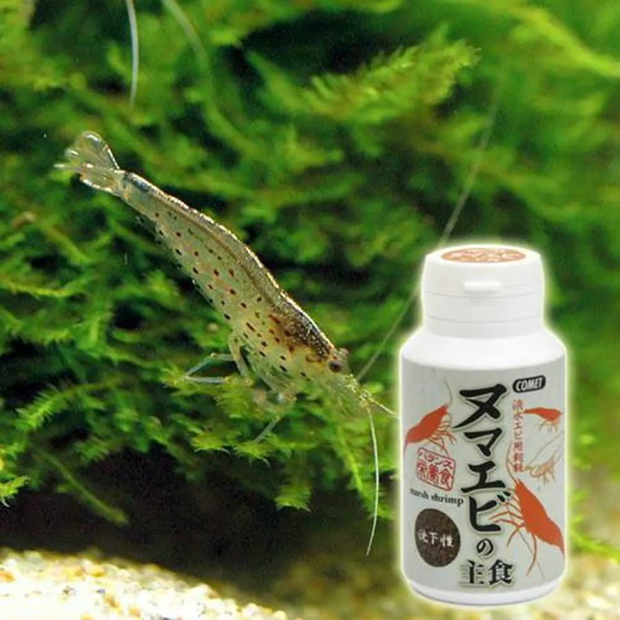 コメット　ヌマエビの主食　沈下性　４０ｇ | イトスイ | 01