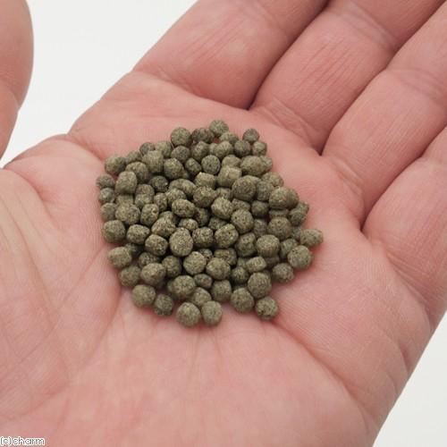 信用 コメット 金魚の主食 納豆菌配合 中粒 ２００ｇ 金魚のえさ Wantannas Go Id