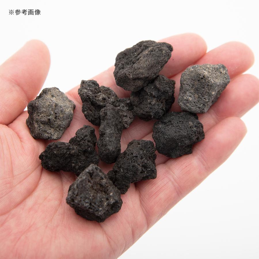 Leaf Corp 溶岩石 SS （2．5〜3．5cm前後） 10個入り