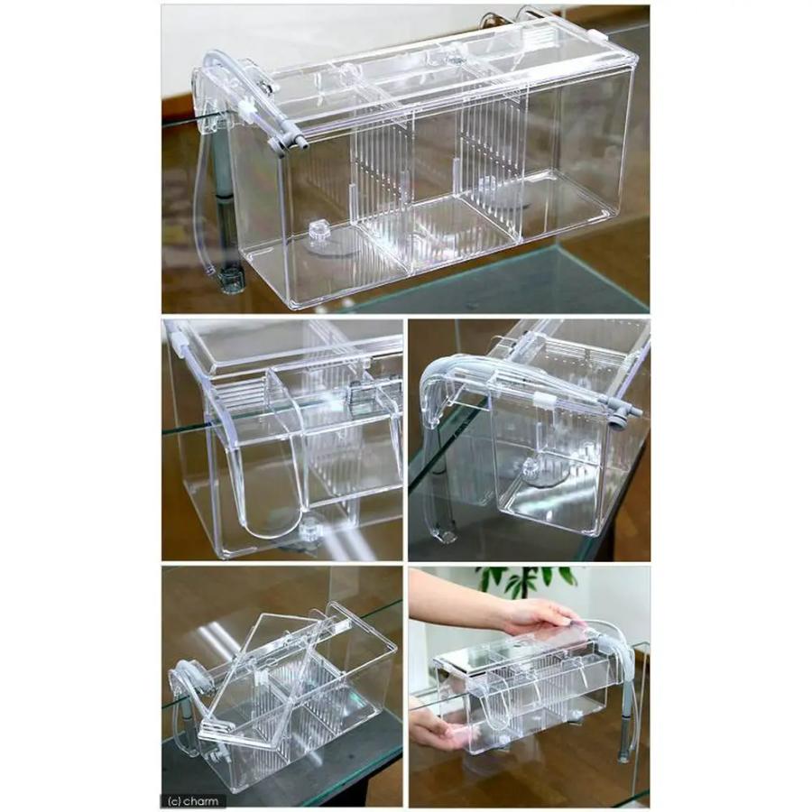 スドー 外掛式産卵飼育ボックス サテライトL : チャーム charm ヤフー