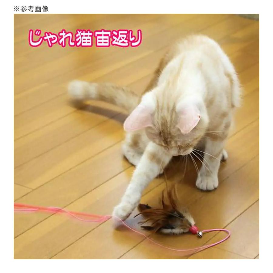 じゃれ猫 猫じゃらし キャティーマン じゃれ猫 宙返り 猫 猫用おもちゃ