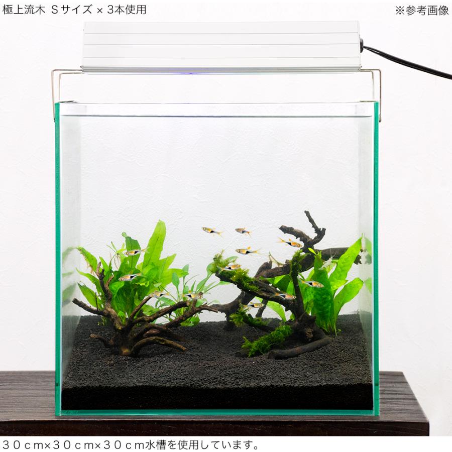 形状お任せ　煮込み済み　極上流木　Ｓサイズ（約１０〜２０ｃｍ）　３本　アクアリウム　レイアウト素材　流木 |  | 03