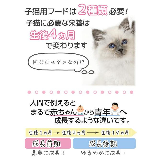 ロイヤルカナン　子猫　マザー＆ベビーキャット　成長前期の子猫用　４００ｇ　３１８２５５０７０７３０５　お一人様５点限り　ジップ無し｜chanet｜02