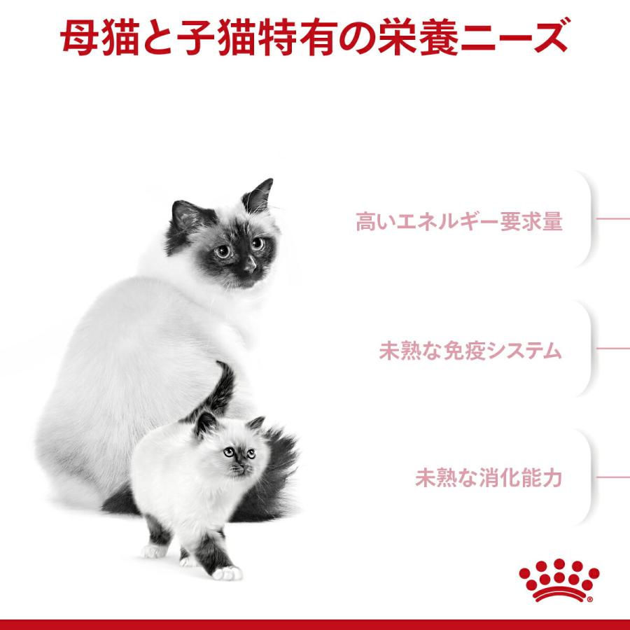 ロイヤルカナン　子猫　マザー＆ベビーキャット　成長前期の子猫用　２ｋｇ　３１８２５５０７０７３１２　お一人様５点限り　ジップ付｜chanet｜03