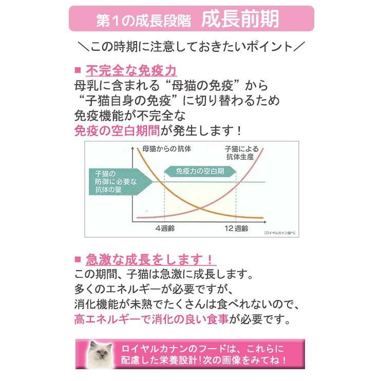 ロイヤルカナン 猫 マザー&ベビーキャット 成長前期の子猫用 4kg 3182550707329 お一人様5点限り ジップ付|チャーム charm |02