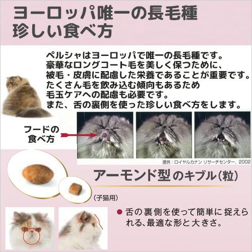 ロイヤルカナン　子猫　ペルシャ・チンチラ・ヒマラヤン　子猫用　４００ｇ　お一人様５点限り　ジップ無し｜chanet｜02