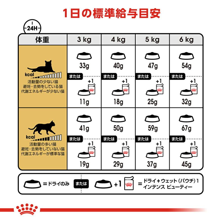 ロイヤルカナン　猫　ペルシャ・チンチラ・ヒマラヤン　成猫用　生後１２ヵ月齢から１２歳まで　２ｋｇ　ジップ付（キャットフード　ドライ）｜chanet｜08