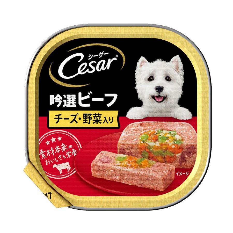 シーザー　吟撰ビーフ　チーズ・野菜入り　１００ｇ　ドッグフード　シーザー | シーザー