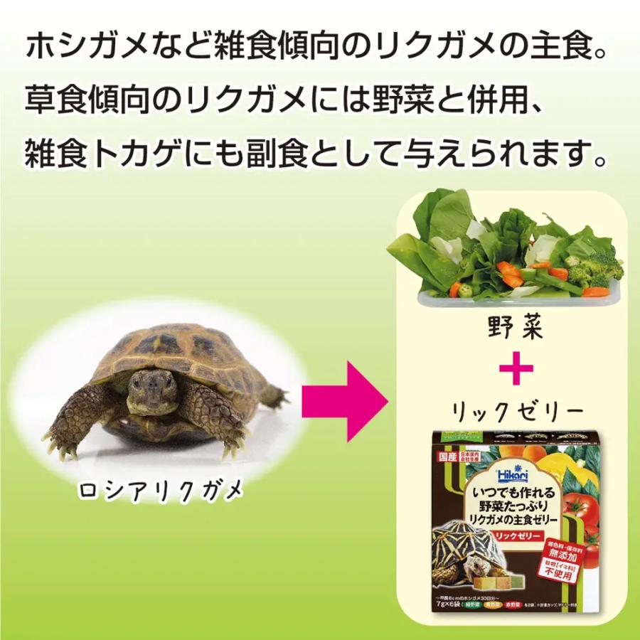 キョーリン リクガメフード リックゼリー お徳用70g×3袋 陸ガメ用