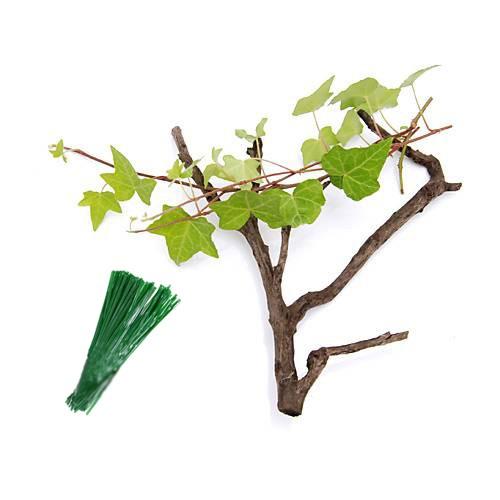 観葉植物 ビバリウムプランツ流木セット 品種おまかせ ヘデラのつる チャーム Charm Paypayモール店 通販 Paypayモール