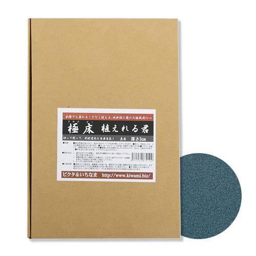 ピクタ 極床 植えれる君 A4 3cm 爬虫類 テラリウム フォーム