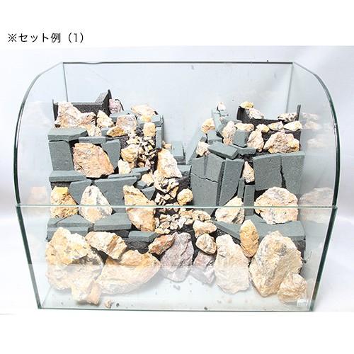 ピクタ 極床 植えれる君 A4 3cm 爬虫類 テラリウム フォーム