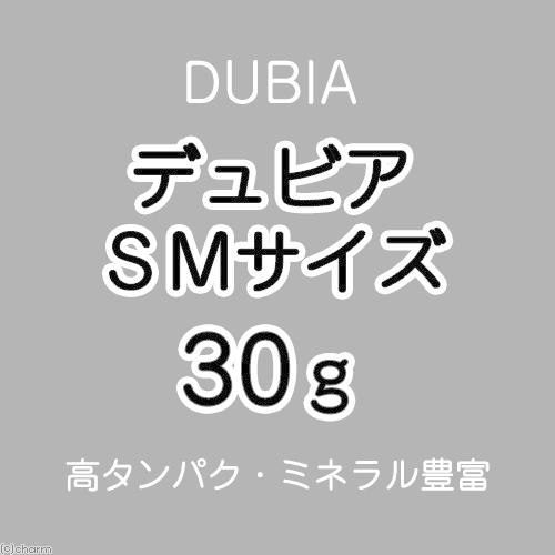 生餌)デュビア(アルゼンチンモリゴキブリ) SMサイズ 約60 生餌)デュビア(アルゼンチンモリゴキブリ) SMサイズ 約60