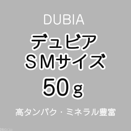 生餌)デュビア(アルゼンチンモリゴキブリ) SMサイズ 約 生餌)デュビア(アルゼンチンモリゴキブリ) SMサイズ 約