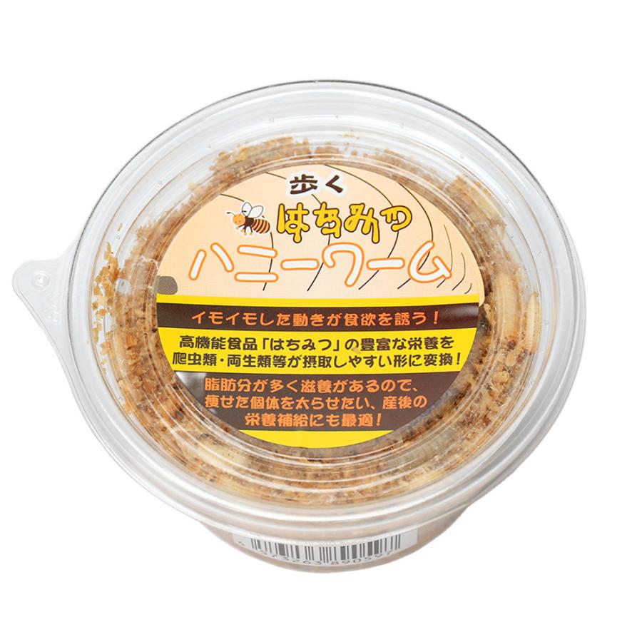 （生餌）死着保証なし　ハニーワーム　繭あり　約１００匹／１カップ（約１〜２ｃｍ）（１個）　爬虫類　両生類　活餌 | チャーム（ペット） | 02
