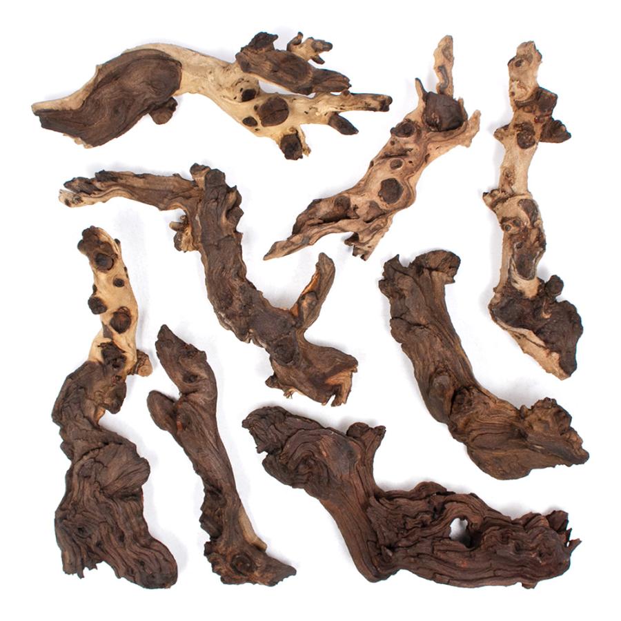 形状お任せ 煮込み済み モパネウッド Mサイズ（約25〜35cm） 1