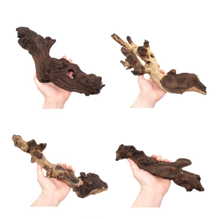 煮込み済み モパネウッド Mサイズ 約25〜35cm 1本 形状お任せ