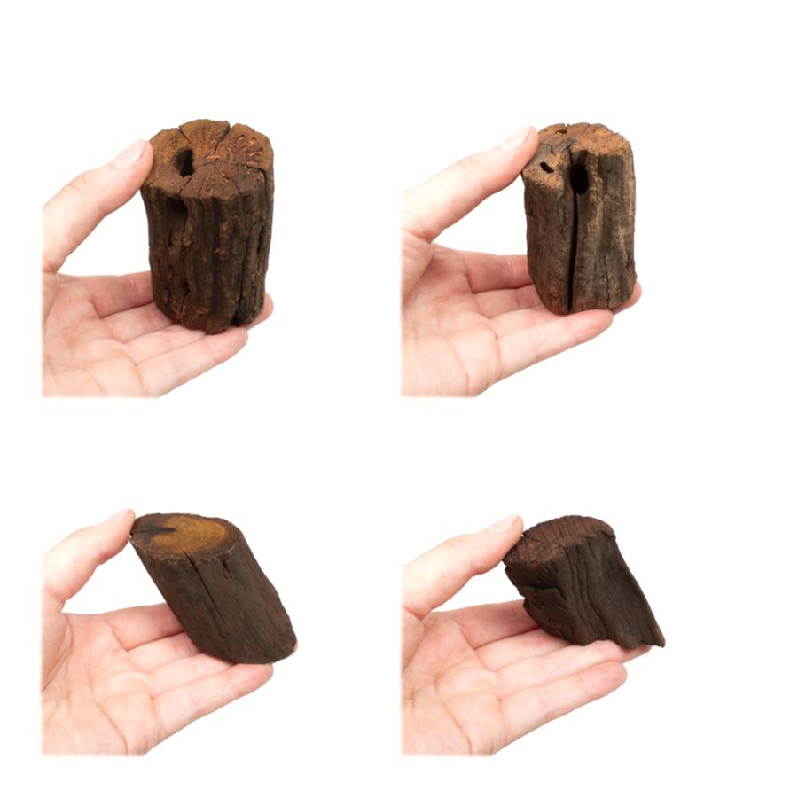 煮込み済み 切り株ドリフトウッド SSサイズ 約3〜5cm Low