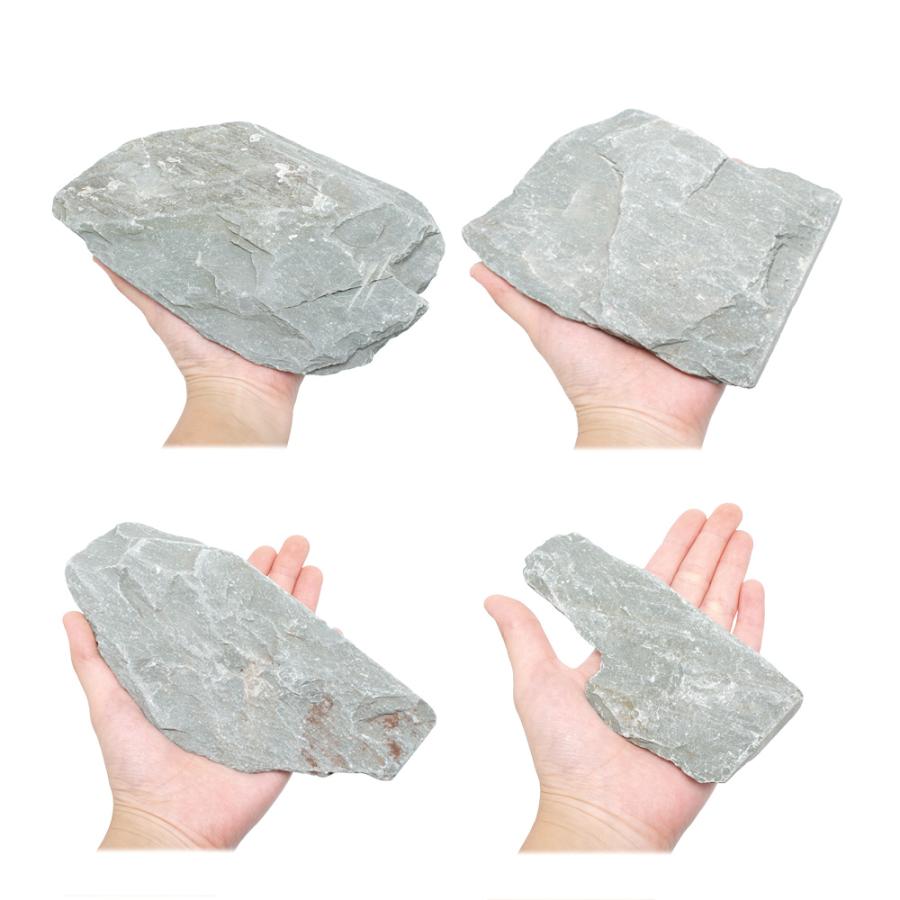 緑甲石 10kg 約5〜25cm 60cm水槽向け 形状お任せ