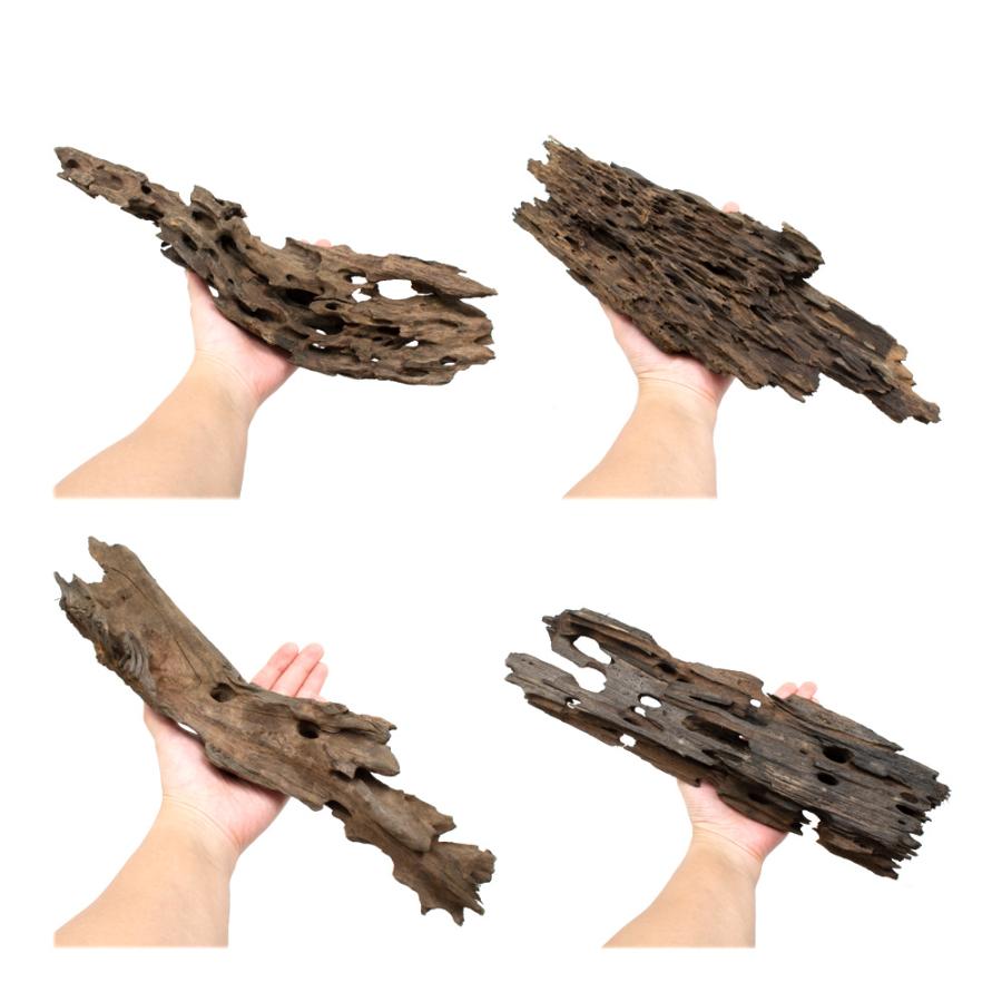 形状お任せ 煮込み済み ハニカムウッド XLサイズ（30〜40cm