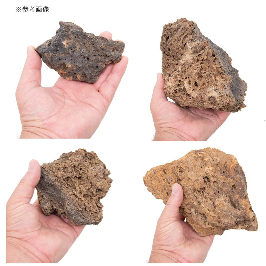 チャーム（charm） 形状お任せ 灼孔石 サイズミックス 10kg