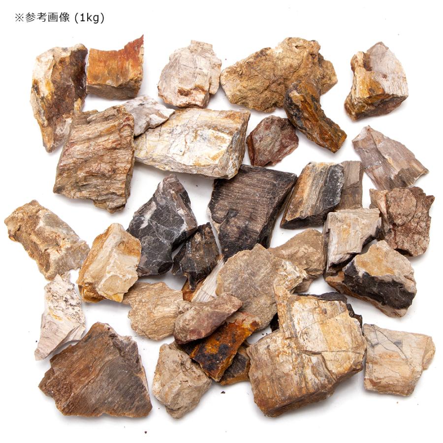 形状お任せ　木化石　スモールサイズミックス（約２〜６ｃｍ）　１ｋｇ　アクアリウム　レイアウト素材 | チャーム（ペット） | 01