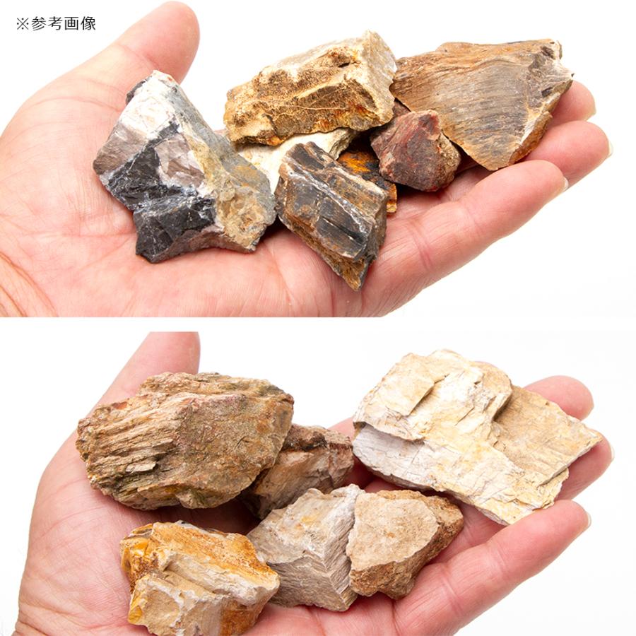 形状お任せ　木化石　スモールサイズミックス（約２〜６ｃｍ）　１ｋｇ　アクアリウム　レイアウト素材 | チャーム（ペット） | 02