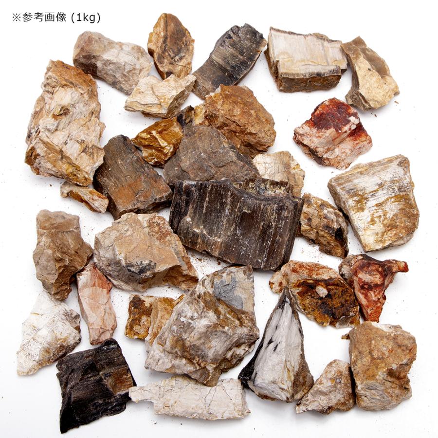 形状お任せ　木化石　スモールサイズミックス（約２〜６ｃｍ）　１ｋｇ　アクアリウム　レイアウト素材 | チャーム（ペット） | 03