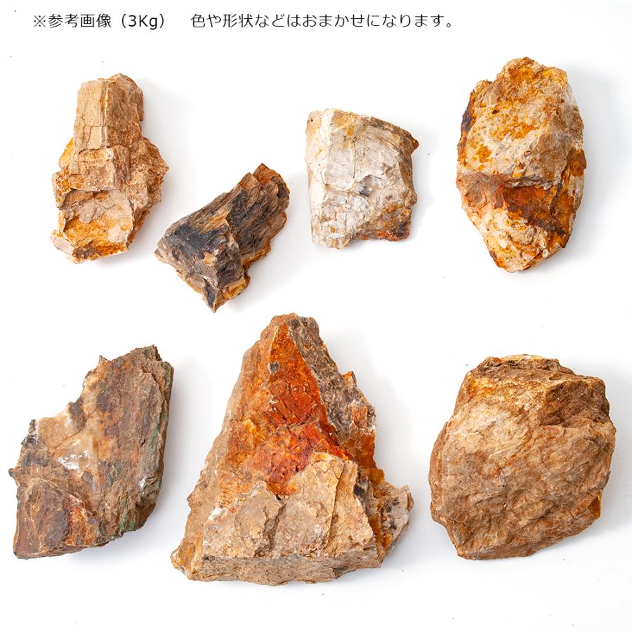 形状お任せ　木化石　サイズミックス　３ｋｇ　３０ｃｍ水槽向け　アクアリウム　レイアウト素材 | チャーム（ペット） | 01