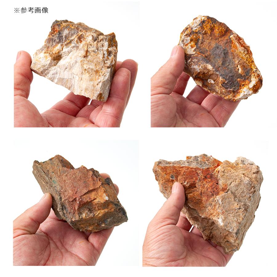 チャーム（charm） 形状お任せ 木化石 サイズミックス 3kg 30cm