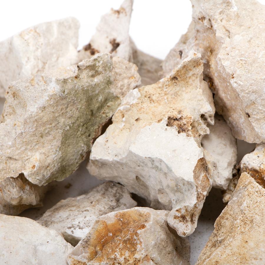 チャーム（charm） 形状お任せ 化石サンゴ スモールサイズミックス（約